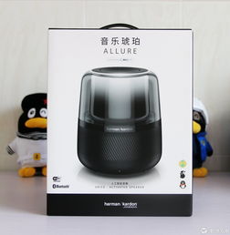 被发现4点问题2个bug,这款音箱依然可期待