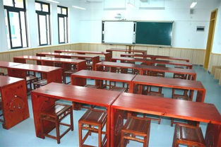 丹枫实验小学9月正式启用，滨滨独家揭秘内部美照与音乐教育特色